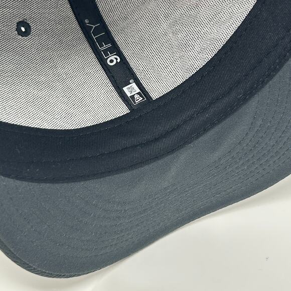 Las Vegas Raiders Hat Baseball Cap New Era Cancer Crucial Catch Gray Snapback - Picture 5 of 9